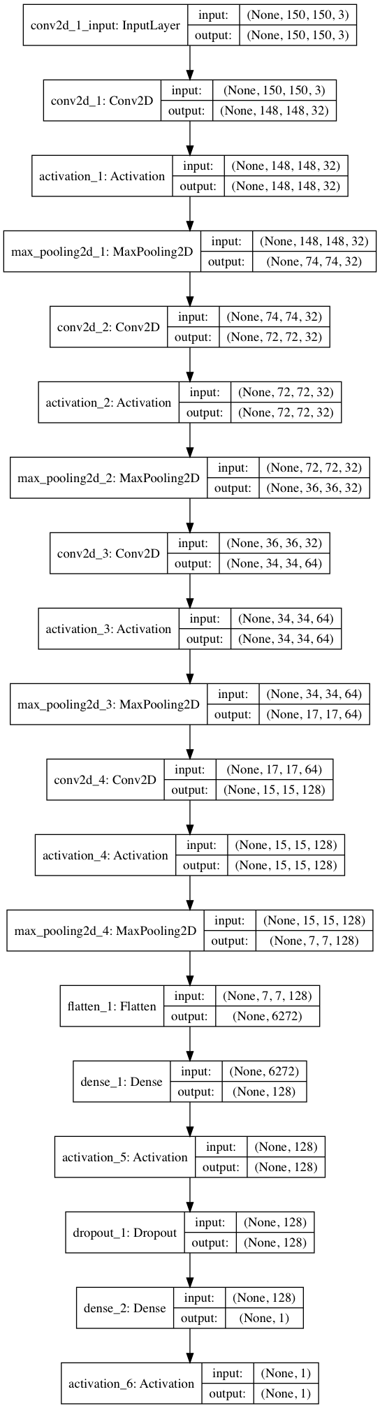 model architecture