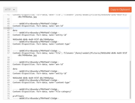 raw http request screenshot 2